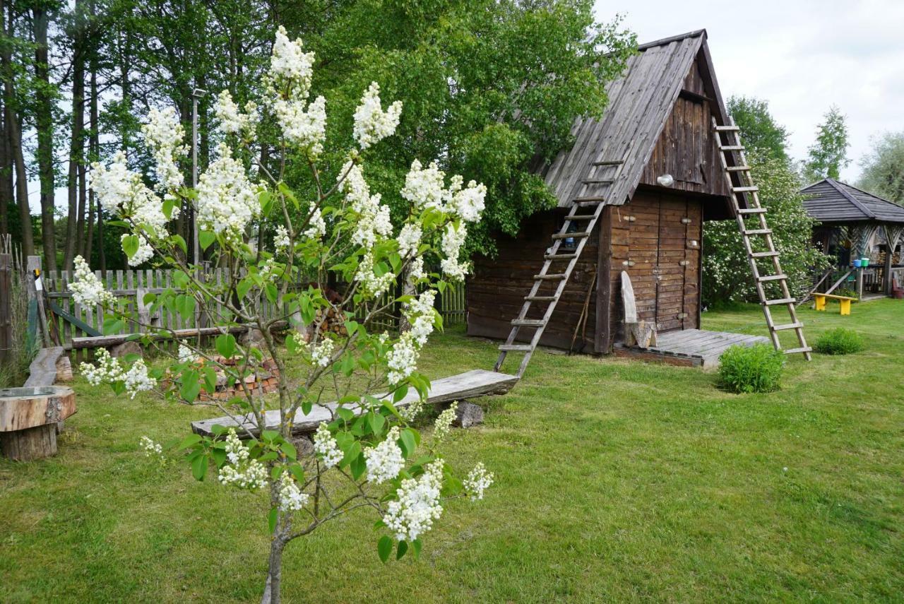 Отель Pie Andra Pitraga Pitrags Экстерьер фото