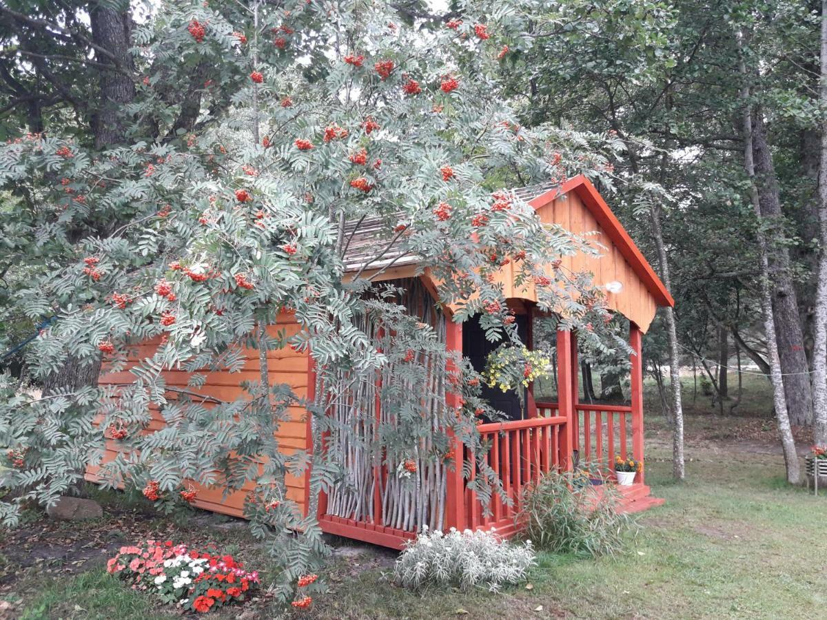 Отель Pie Andra Pitraga Pitrags Экстерьер фото